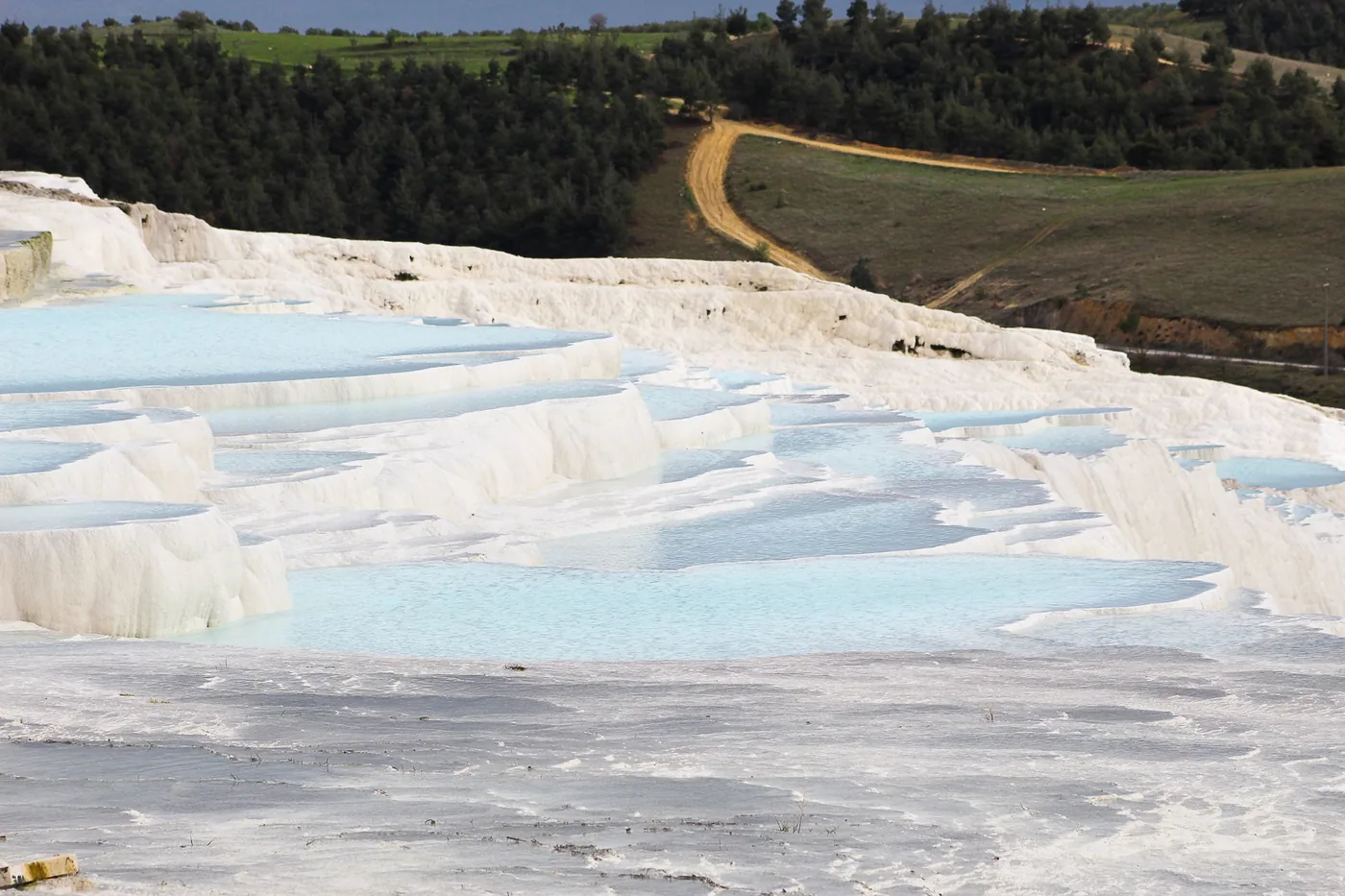 White travertine terraces of Pamukkale filled with pale blue thermal water, with pine woods behind